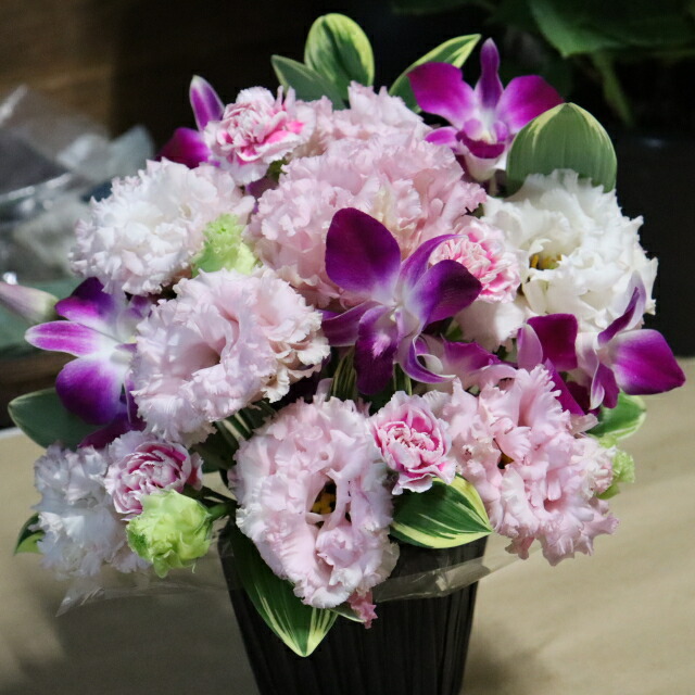 Puriza 母の日ギフト 本定番カーネーションとスプレーカーネーション 花束 Flower 誕生日 花 カスミ草付き 生花 ブーケ 母の日プレゼント 人気 22年 高齢者 40 50 60代 色セレクト 完全送料無料