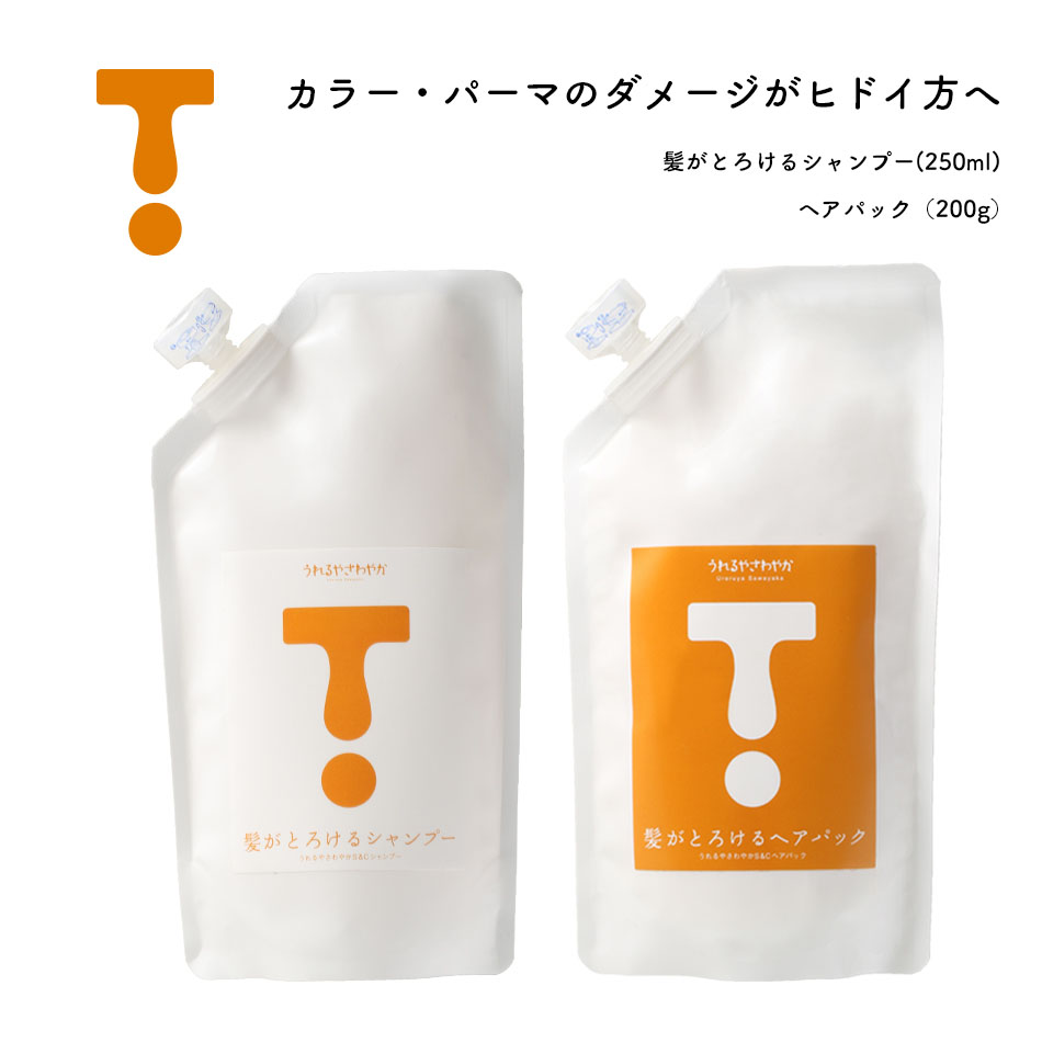 楽天市場 髪がとろけるシャンプー 250ml ヘアパック 0g ノンシリコンシャンプーセット ダメージケア用ヘアパック送料無料 プーロビュー