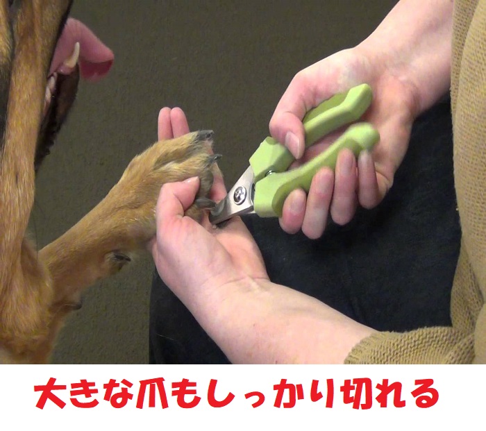 楽天市場 Safari サファリ プロフェッショナル ネイルトリマー 犬用 爪切り Lサイズ 並行輸入品 プチプラストア 楽天市場店