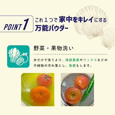 100%ホタテ貝殻 自然由来のシェルフィッシュパウダー200g [ ホタテ貝殻の焼成パウダー/ ほたて貝殻焼成パウダー / 野菜洗い 果物洗い 野菜洗浄 残留農薬 洗剤 / ほたて 帆立 パウダー ホタテの力 ホタテ洗剤 / 洗濯槽 洗濯物 除菌 消臭 カビ / カビ取り 臭い/ P無 ]+lt5+