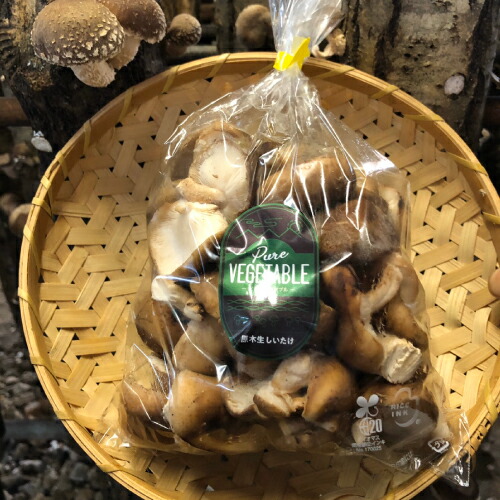 銀杏 20kg 楽天市場】ジーエフシー 冷凍ぎんなん 青銀杏 500g（業務用パック