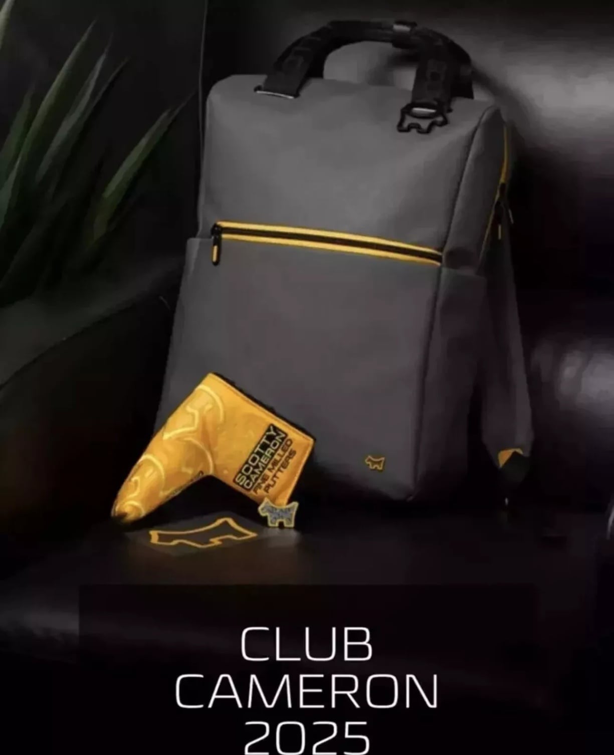 楽天市場】【即納】【あす楽対応】スコッティキャメロン 2022 7