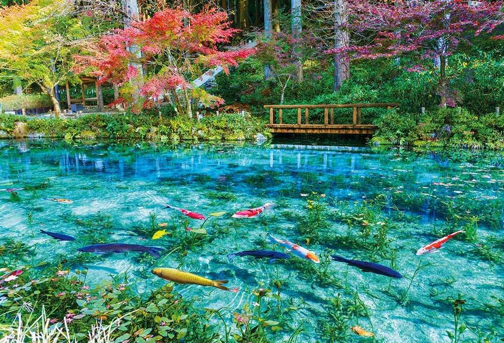 ジグソーパズル 1000ピース 色彩輝くモネの池 (49×72cm）(51-293) ビバリー 梱60cm t101画像