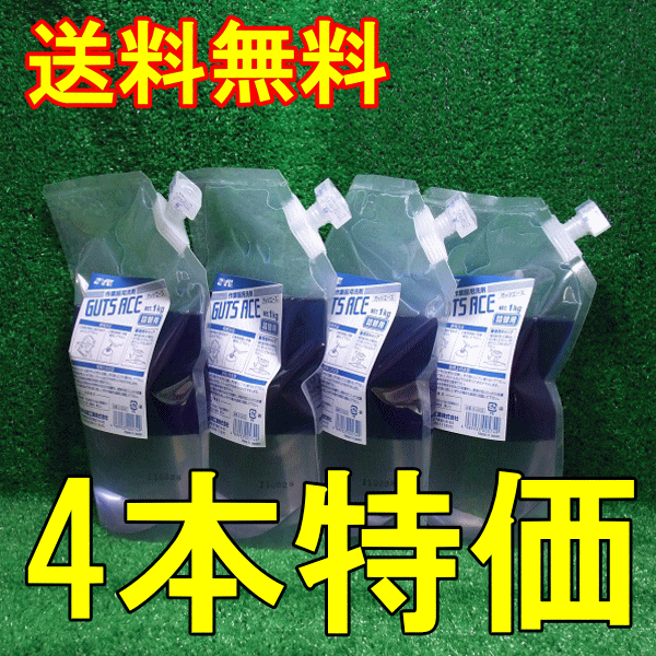 ＳＹＫ 肝ったまはやりっ児 １ｋｇ×４本 (詰替) S-2202 鈴木あぶら身  お得品