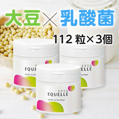 大塚製薬 - 大塚製薬 EQUELLE エクエル パウチタイプ 120粒 30日分×3