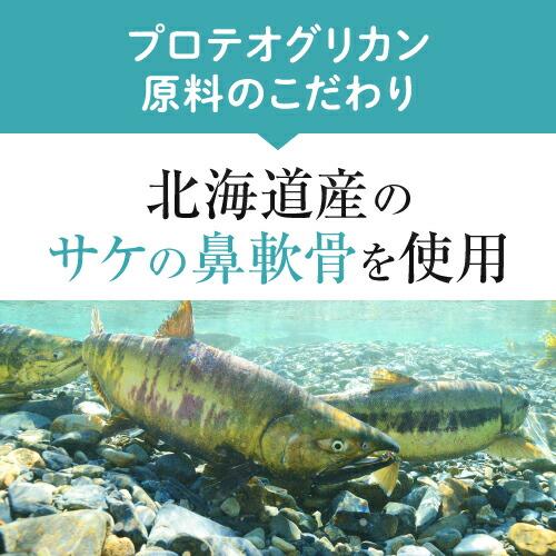 奉呈 プロテオグリカン 膝 ひざ サプリメント 関節 軟骨 の保護に役立つ サプリ 日常生活の膝の動きを改善 医師監修 機能性表示食品 潤ひざ うるひざ 90粒 約1ヶ月分 型 コラーゲン 2型コラーゲン グルコサミン コンドロイチン ヒアルロン酸 Somaticaeducar Com Br