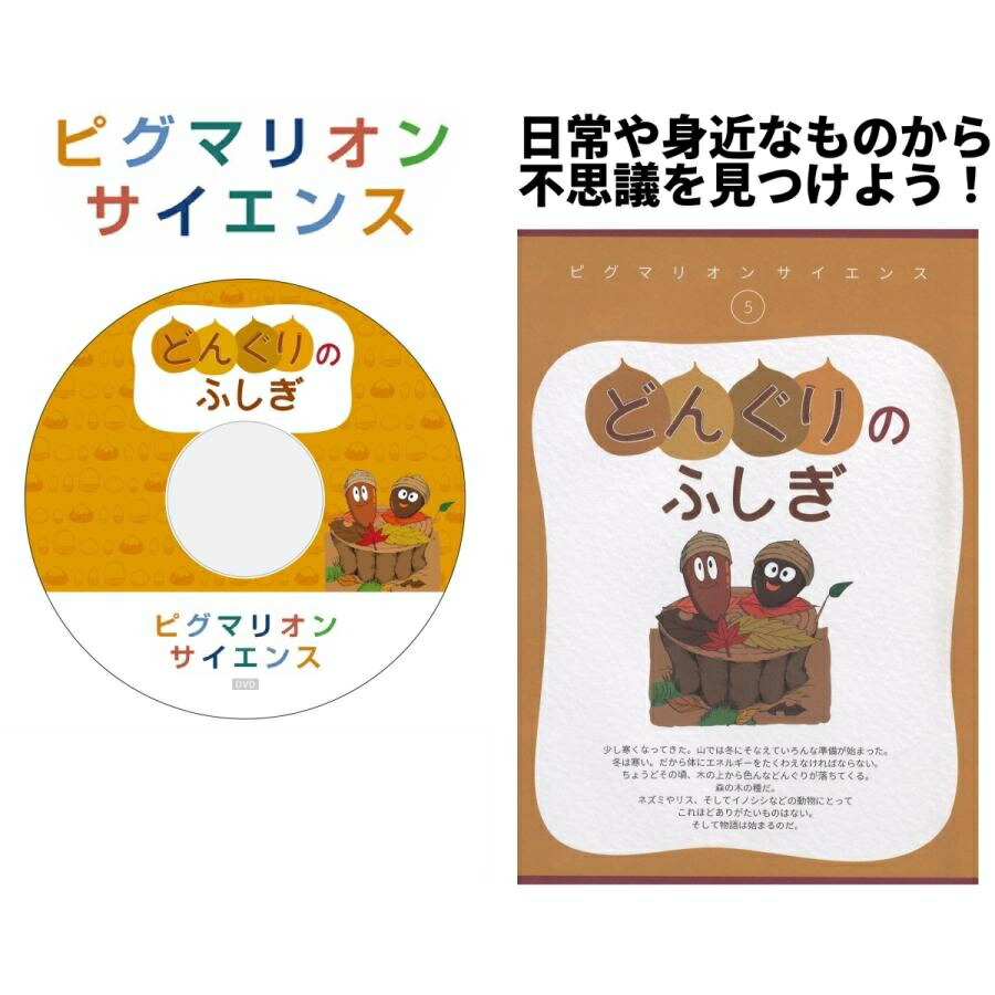 能力育成問題集全40冊セット PYGLIの幼児教育・小学校受験 株式会社ピグマリオン / 能力育成