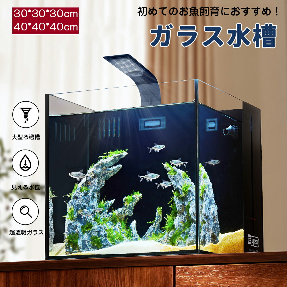 海洋博物館 水景海洋博物館 リビング正六面体 オールインワン海洋博物館 アクリル樹脂海洋博物館 水上海洋博物館 環境学海洋博物館 真水 塩水 熱帯魚 メダカ 金魚 金魚海洋博物館 金魚鉢 メダカ海洋博物館 繁殖 大電気容量 観葉草木 屋内 容れもの どんぶり鉢 澄み切った海洋博物館 水栽培 今めかしい 室内用 海洋博物館環境学海洋博物館