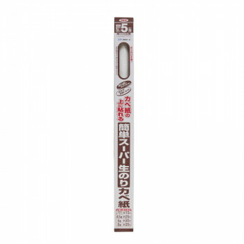 アサヒペン　壁紙　簡単スーパー生のりカベ紙　92cm×5m　RKN-2　防カビ