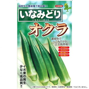 小林種苗 オクラ種子 いなみどり　9　1L