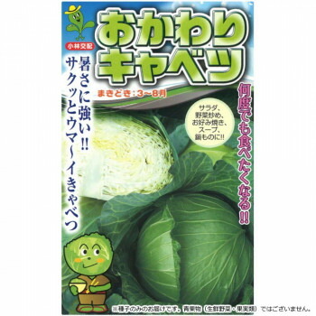 小林種苗 キャベツ種子 おかわりキャベツ　3675　20ml