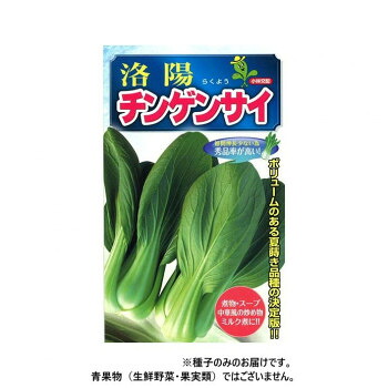 小林種苗 チンゲンサイ種子 洛陽　8　2dl