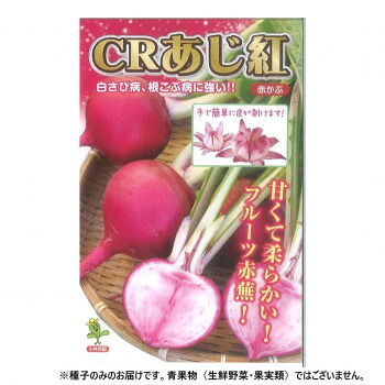 小林種苗 カブ種子 CRあじ紅　11　1dl