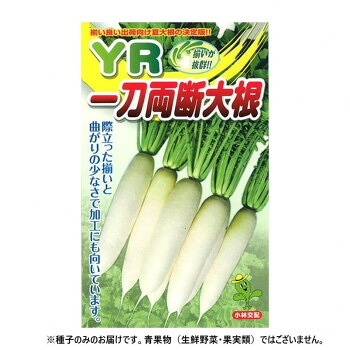 小林種苗 ダイコン種子 YR一刀両断　17　7000粒