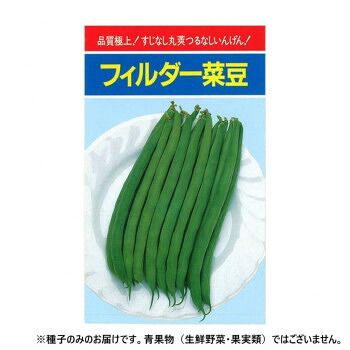 小林種苗 インゲン種子 フィルダー　6　1L
