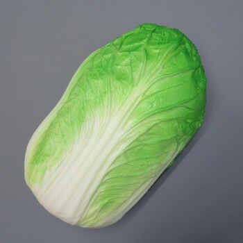 日本職人が作る 食品サンプル 新鮮・白菜 IP-246|QUOLI