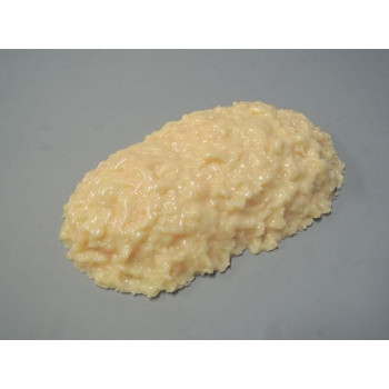 脂肪模型　2kg　IP-971 11,284円