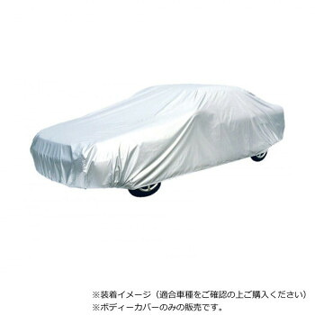 アラデン ちょっとかけるクン シルバーCK1|QUOLI