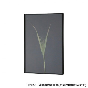 引っ敷き特集