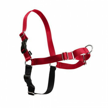 PetSafe Japan ペットセーフ イージーウォークハーネス L レッド×ブラック EWH-HC-L-RED