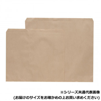 フラット　クラフト大　ヒモ付 500枚 XZK00341