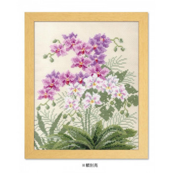 オリムパス　オノエ・メグミ　ししゅうキット　愛すべき花たち　胡蝶蘭　7452