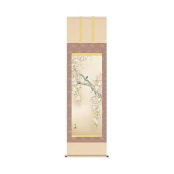掛軸 森山観月桜花に小鳥 54.5×190cm KZ2A2-085|QUOLI