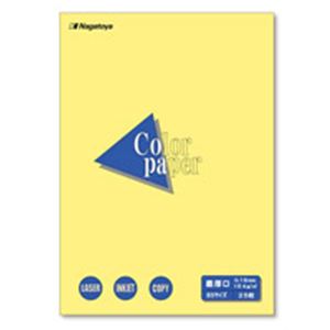(業務用20セット)Nagatoya カラーペーパー/コピー用紙 【B5/最厚口 25枚】 両面印刷対応 クリーム