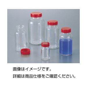 引っ敷き特集