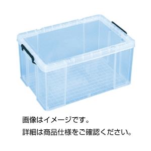 引っ敷き特集