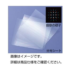 引っ敷き特集