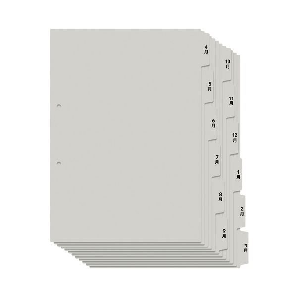 （まとめ）プラス たすけあ 4～3月インデックス 6山×2【×20セット】