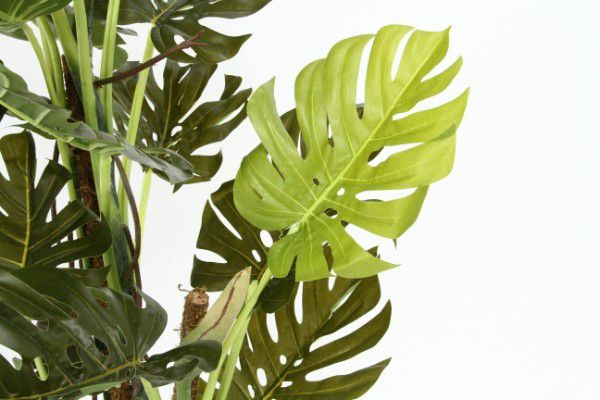 人工観葉植物 大型 観葉植物 インチキ 室内 洒落た 風水 造花 フェイク翠緑 リアル 家什グリーン 植物 Marchesoni Com Br