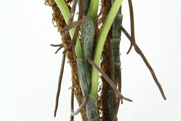 人工観葉植物 大型 観葉植物 フェイク 室内 おしゃれ 風水 造花 フェイクグリーン リアル インテリアグリーン 植物 Prescriptionpillsonline Is