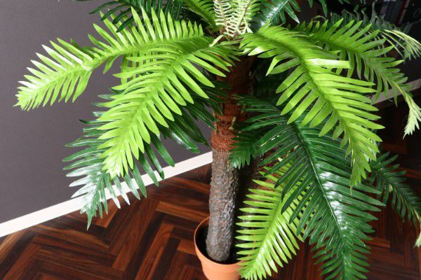 ポイント10倍 楽天市場 人工観葉植物 大型 観葉植物 フェイク 室内 おしゃれ 風水 造花 フェイクグリーン リアル インテリアグリーン 植物 Quoli 希少 大人気 Rue Pietonne Brest Fr