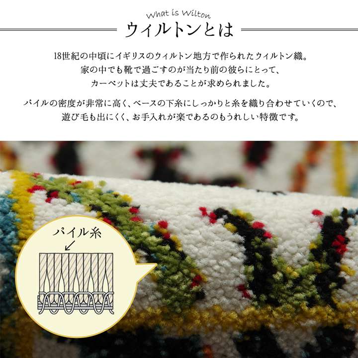 人気の 玄関マット 屋内 おしゃれ 北欧 室内 風水 高級 大きめ モダン 薄型 70 120 マット 70×120 エントランスマット 韓国 風  primashop.id