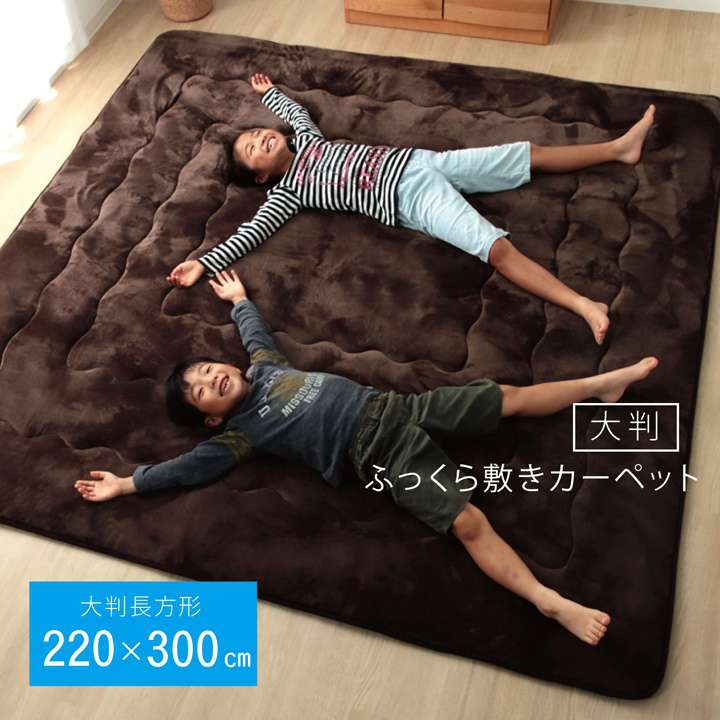 こたつ敷き布団 ラグ 長方形 厚手 6畳 冬 滑り止め付き カーペット 冬用 こたつ敷布団 洗える オールシーズン 絨毯 極厚 滑り止め 無地 こたつ おしゃれ フランネル 大判 分厚い 床暖房 ホットカーペット ラグマット 厚い こたつ用敷布団 冬用ラグ 年中 こたつ敷きマット 14,214円