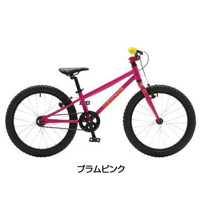 GWのサイクリングにおすすめの自転車！ヨツバサイクル YOTSUBA ZERO 20