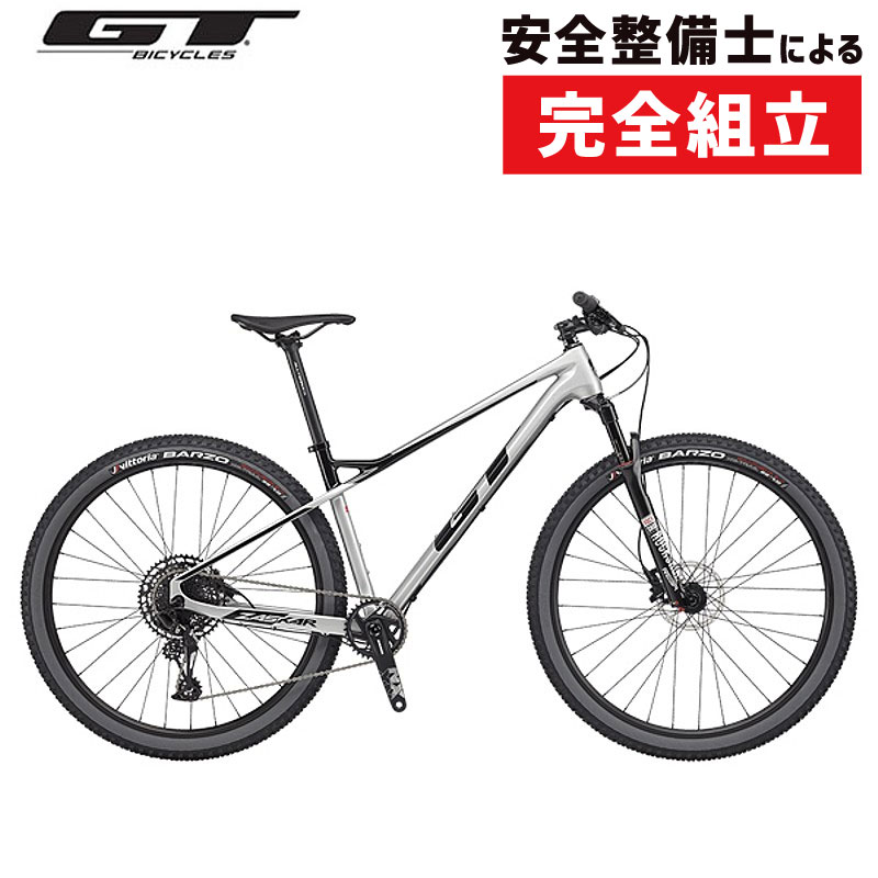 gt bmx 29