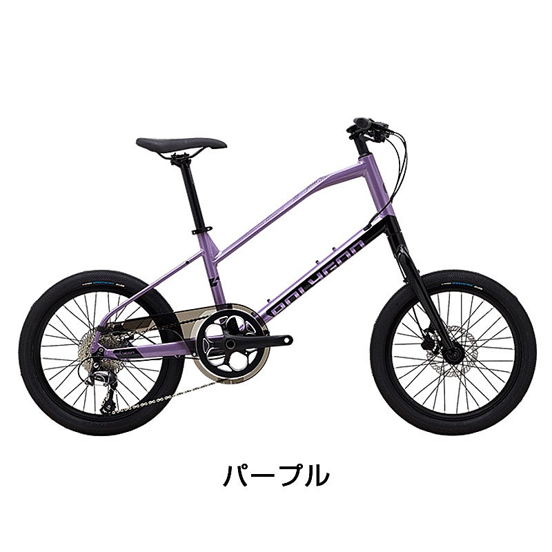 ポリゴン 自転車