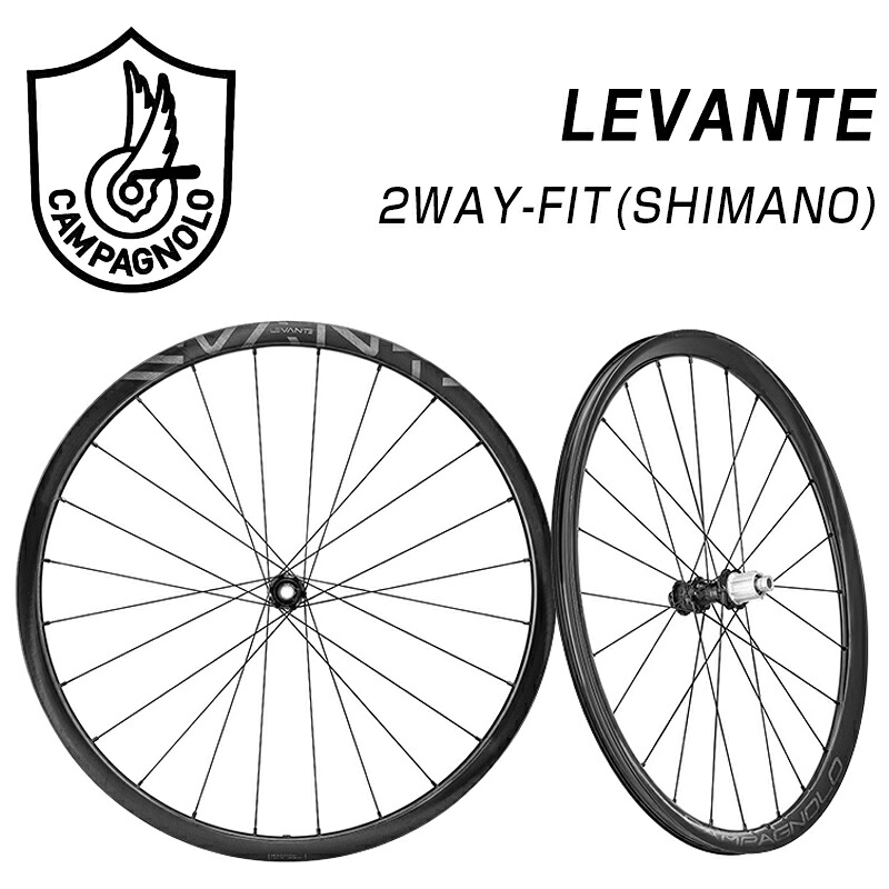 カンパニョーロ LEVANTE（レバンテ）前後セットホイール ディスクブレーキ シマノ Campagnolo