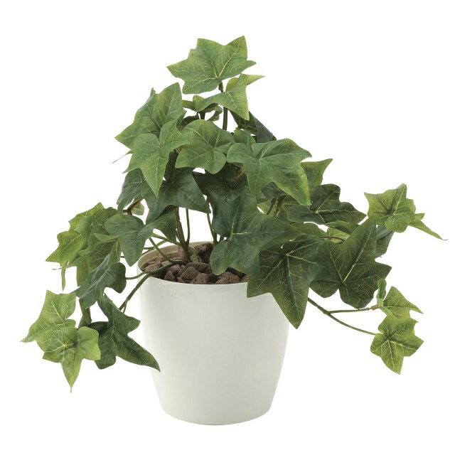 インテリア フェイクグリーン・人工観葉植物 -テーブルタイプ- フレッシュアイビーS 25cm 光触媒加工（V-CAT）