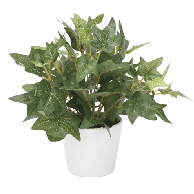 インテリア フェイクグリーン・人工観葉植物 -テーブルタイプ- アイビーS 23cm 光触媒加工（V-CAT）