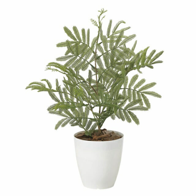 インテリア フェイクグリーン・人工観葉植物 -テーブルタイプ- ねむの木（ポリ製） 50cm 光触媒加工（V-CAT） 5,775円