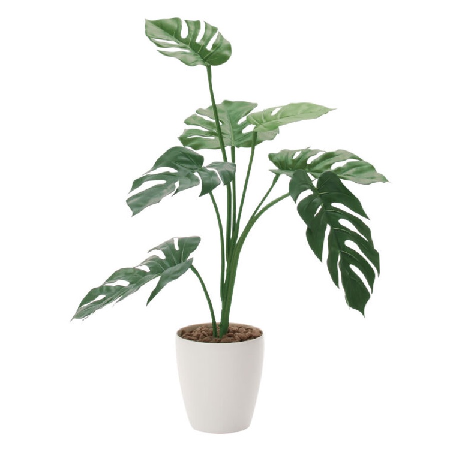 インテリア フェイクグリーン・人工観葉植物 モンステラ75cm 光触媒加工（V-CAT）｜七to八-Seven to eight-
