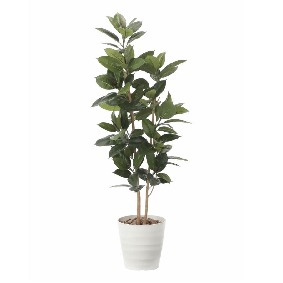 インテリア フェイクグリーン・人工観葉植物 ゴムの木1.6m 光触媒加工（V-CAT）｜七to八-Seven to eight-