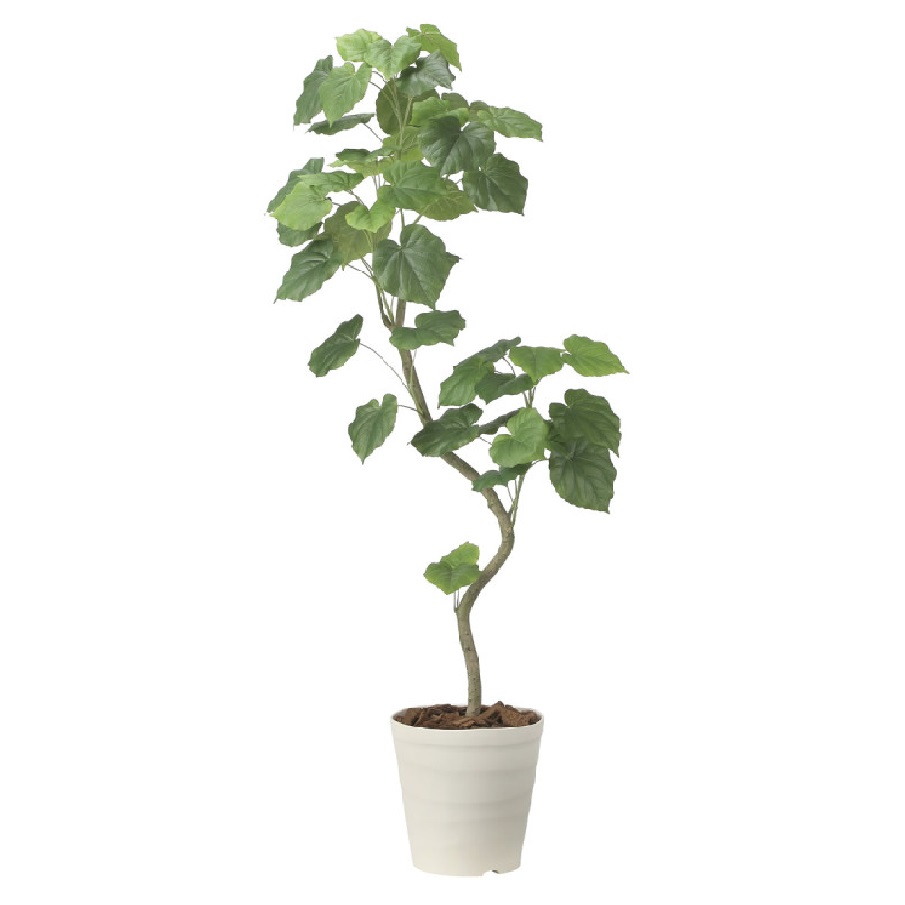 インテリア フェイクグリーン・人工観葉植物 ツイストウンベラータ1.6m 光触媒加工（V-CAT）｜七to八-Seven to eight-