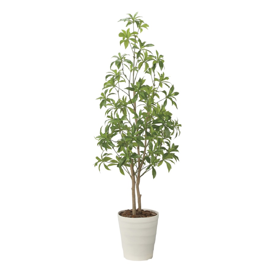 インテリア フェイクグリーン・人工観葉植物 フレッシュアセビ1.35m 光触媒加工（V-CAT）｜七to八-Seven to eight- 21,681円