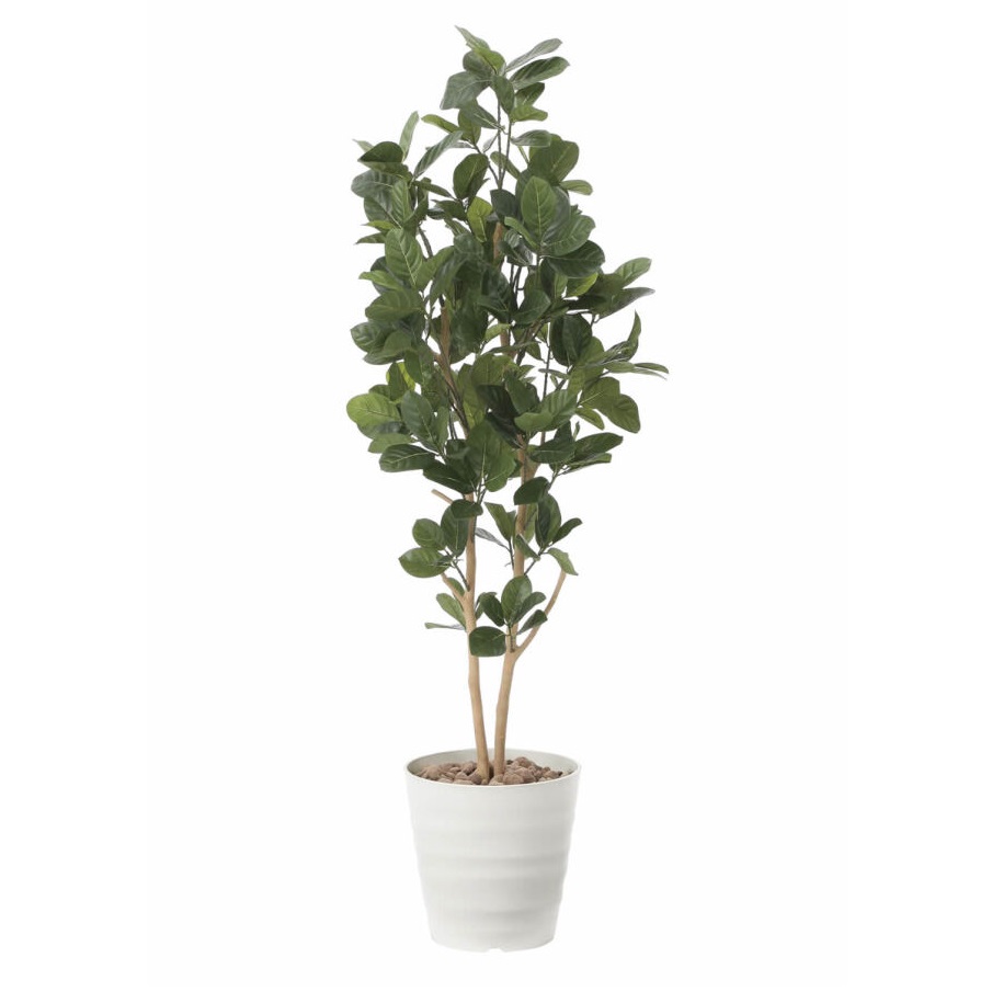 インテリア フェイクグリーン・人工観葉植物 パンの木1.6m 光触媒加工(V-CAT)|七to八-Seven to eight-