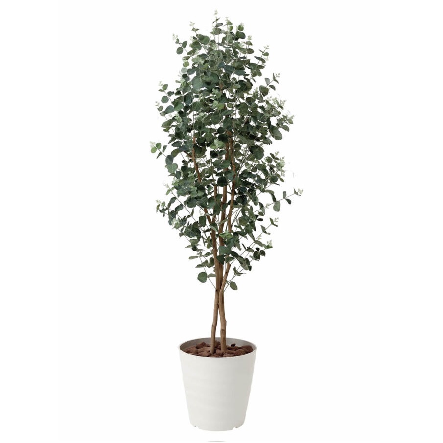 インテリア フェイクグリーン・人工観葉植物 ユーカリ1.6m 光触媒加工(V-CAT)|七to八-Seven to eight-